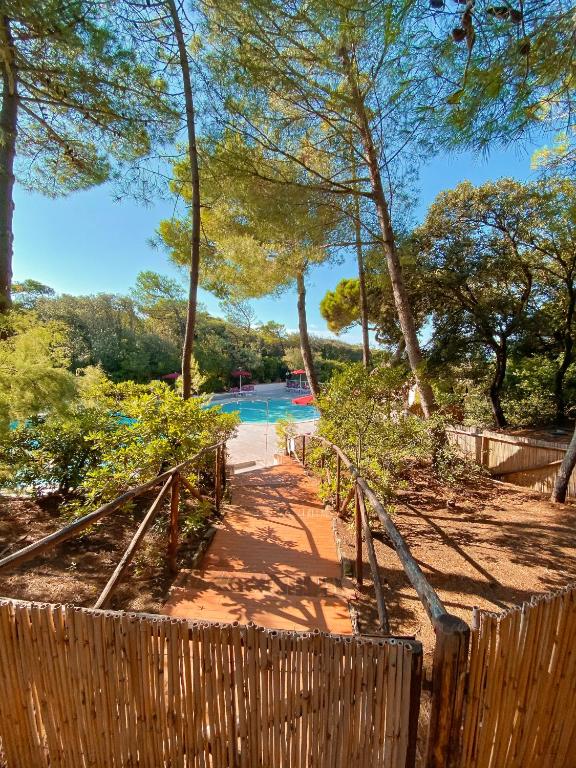 スイミングプール