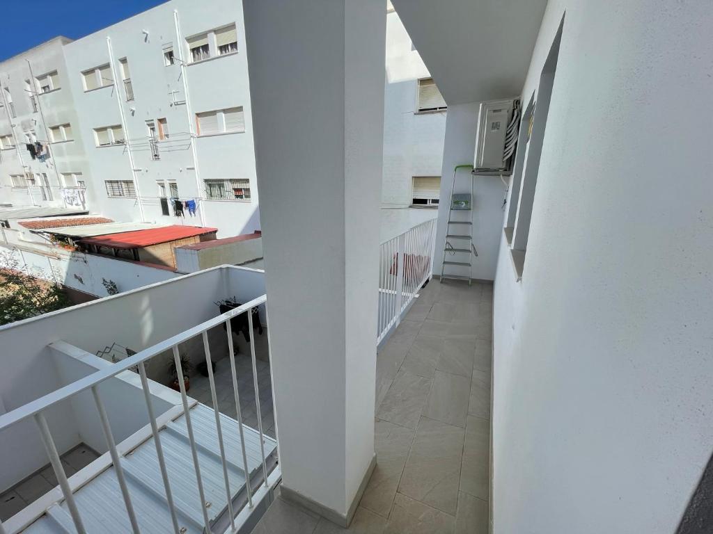 SARDINA - 3