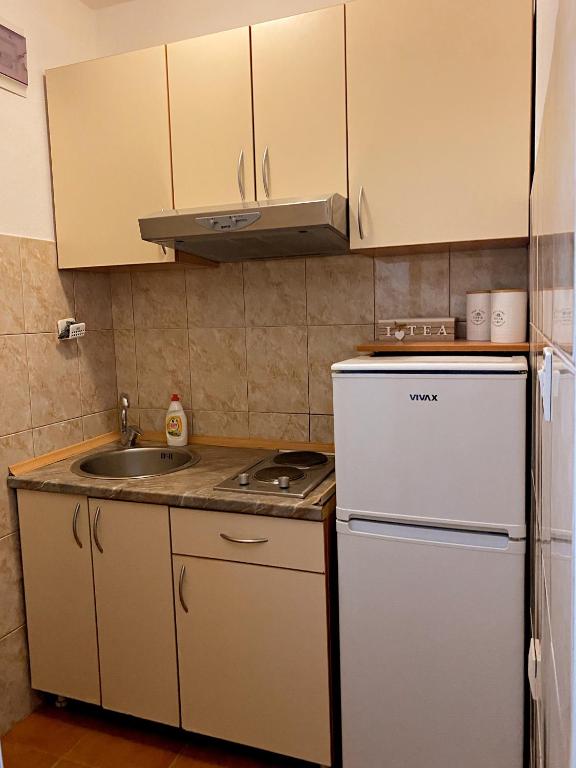 Apartmani Stanojevic - 5