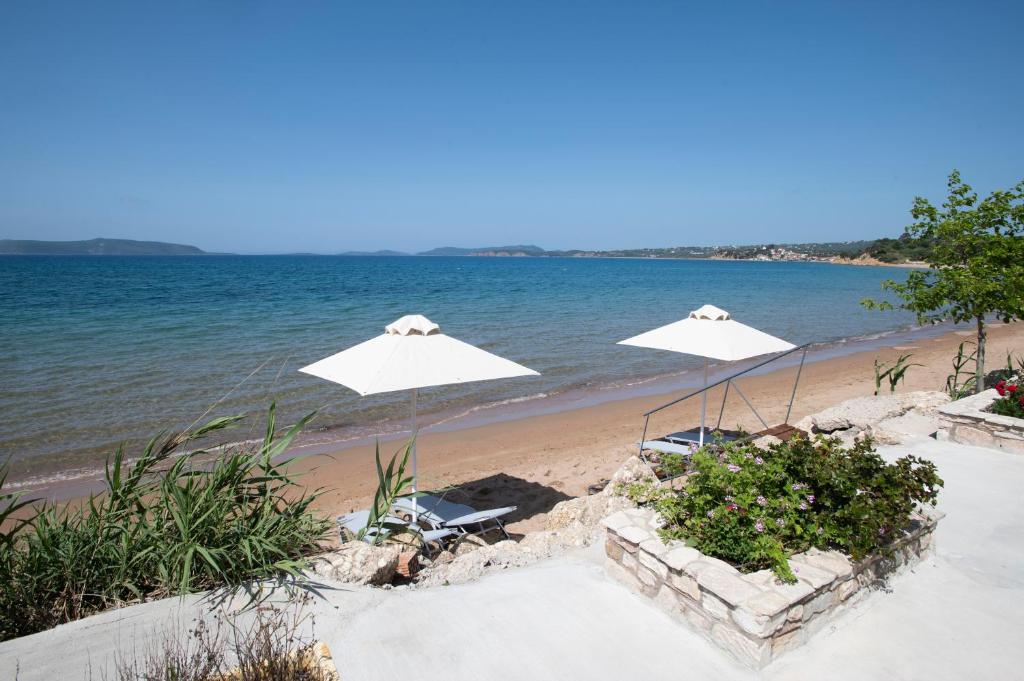 Asterias Studios Finikounda photo