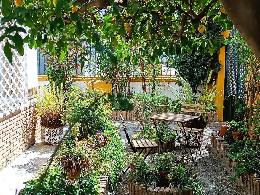Casa Limonero con parking gratis junto a centro histórico - 3