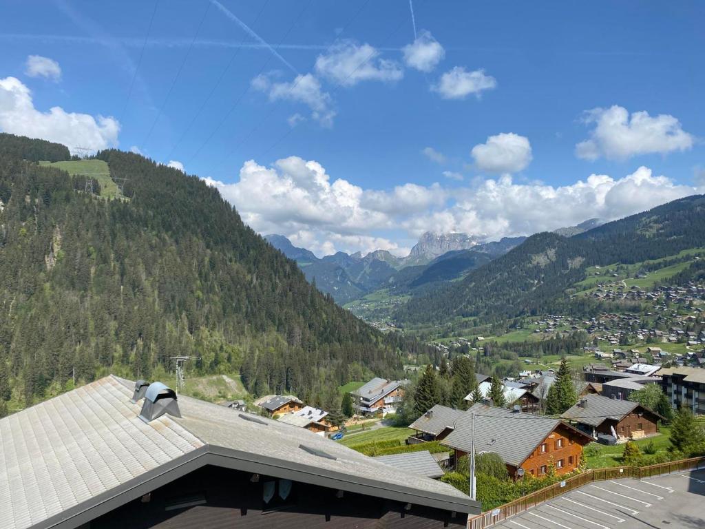 Charmant appartement à Châtel près des pistes et du lac, avec balcon - 25m², parking inclus - FR-1-693-43 - 4