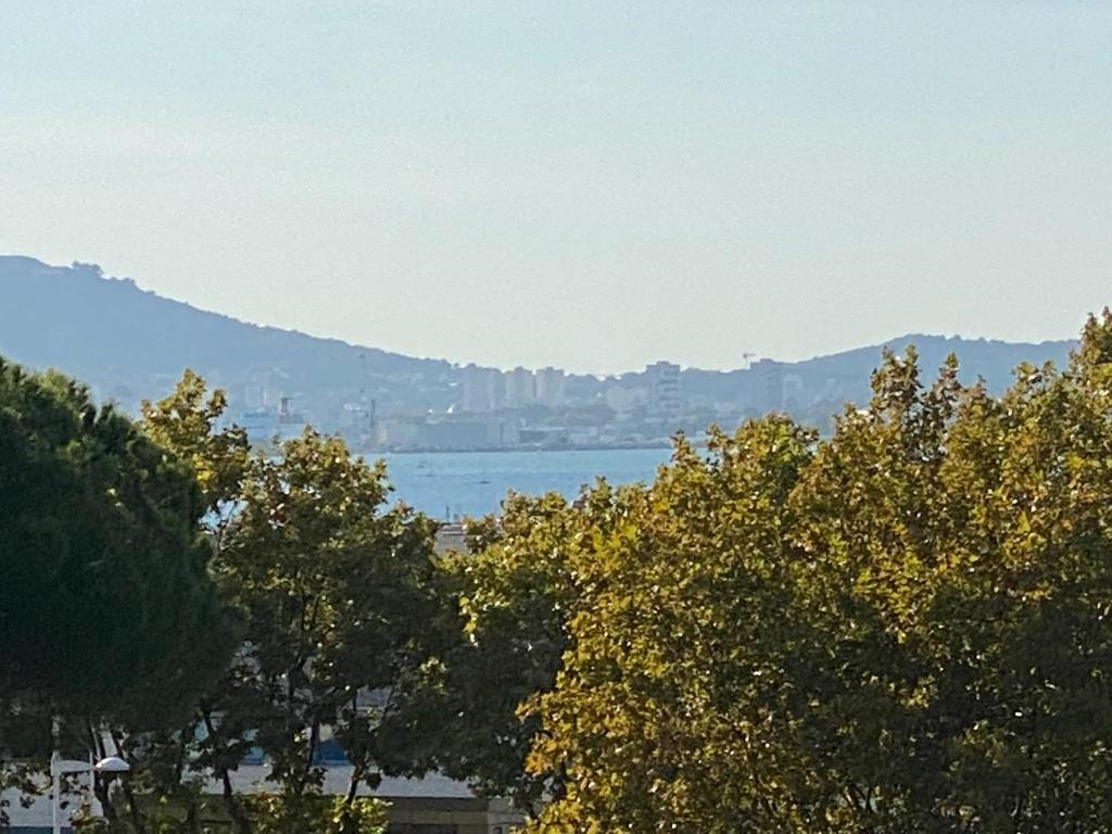 Appartement Mourillon vue mer - 1