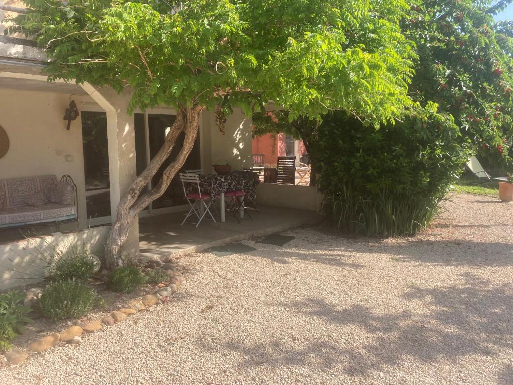 Chez Zabou - 2