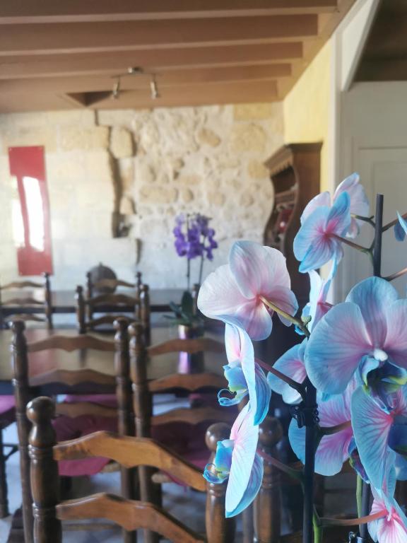 Vignobles Fabris