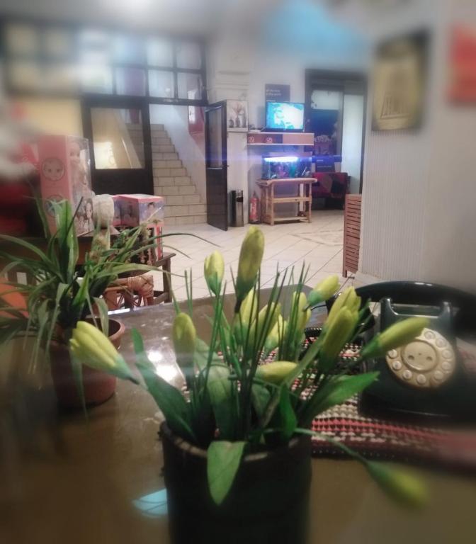 New Park Hotel photo