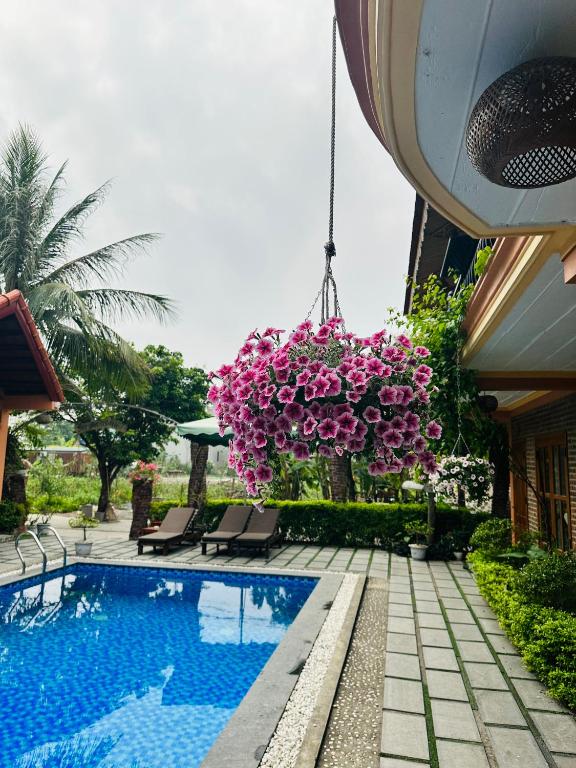 Tam Coc Summer Bungalow photo