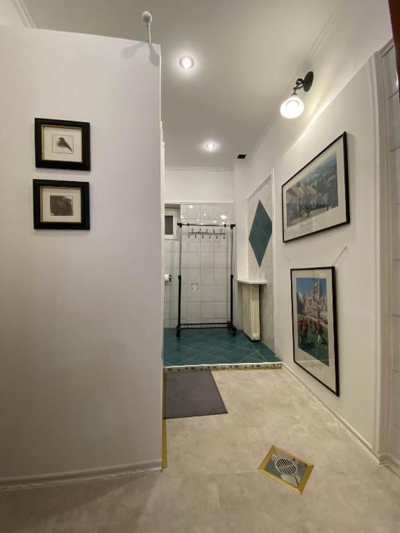 Apartmani Maximus photo