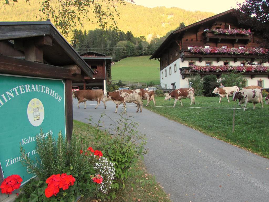 Hinterauerhof - 4