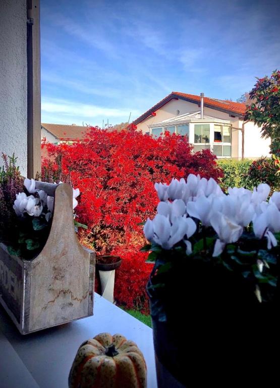 Olympia by the lake, Lausanne