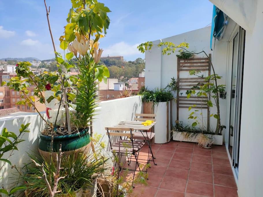Penthouse Terrace - 3