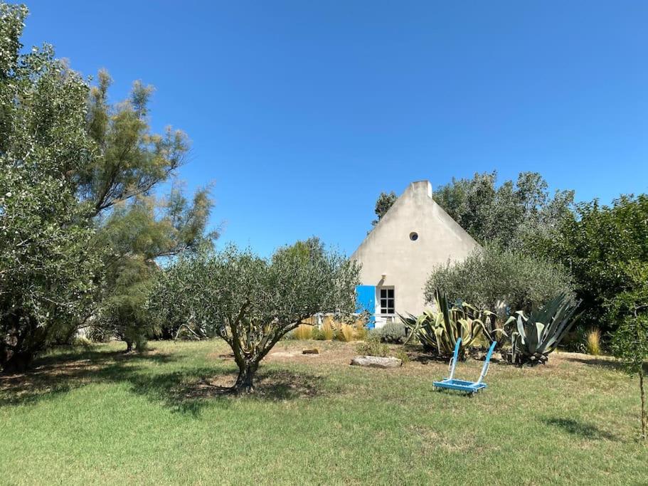 Ma Cabane en Camargue entre mer et campagne