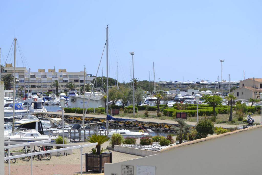 Studio Naturiste ALBATROS Port Soleil 544 - 3