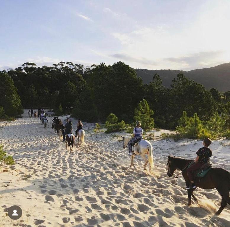 Surrounding environment