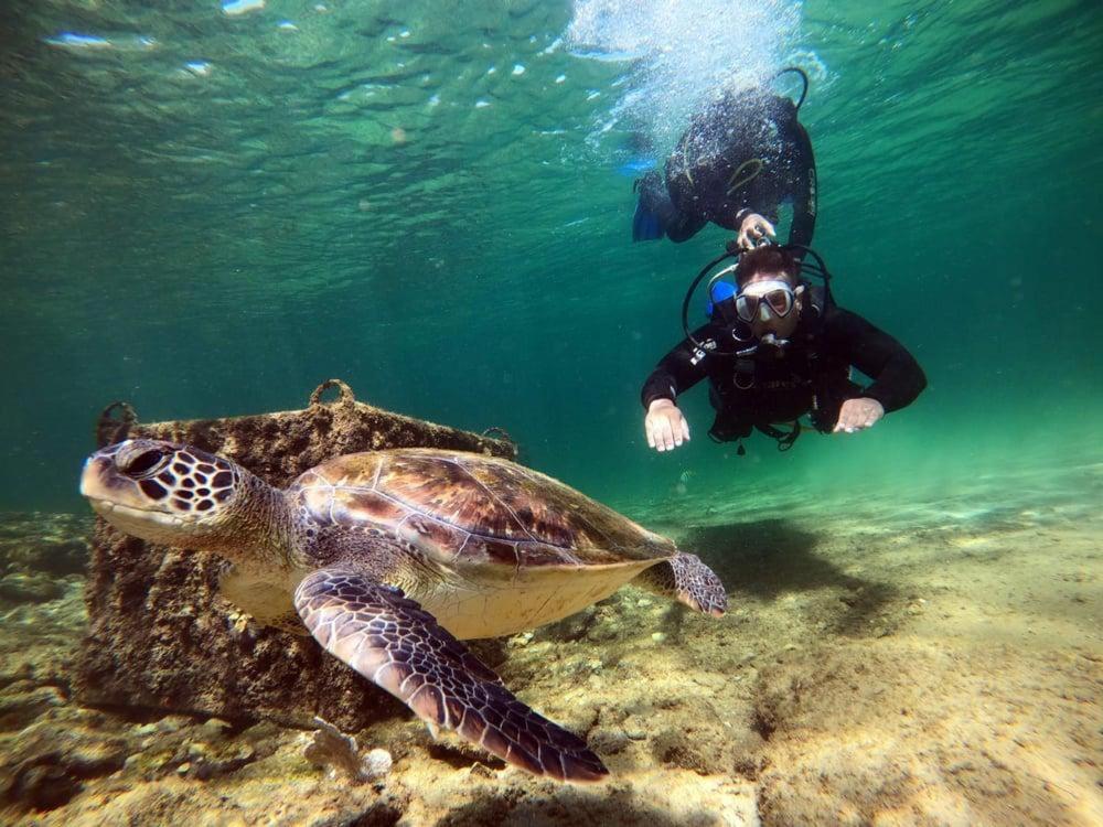 Surrounding environment