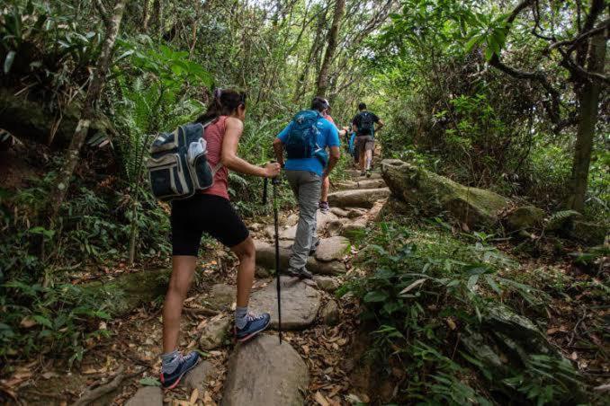 Surrounding environment