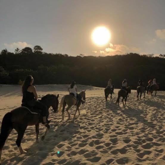 Surrounding environment