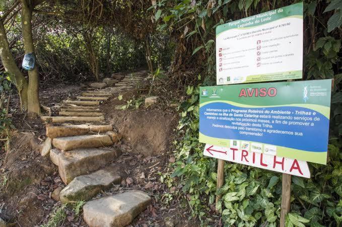 Surrounding environment