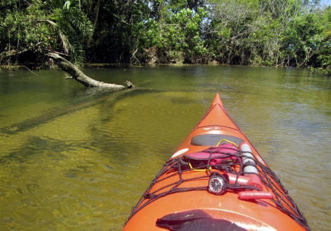 Surrounding environment