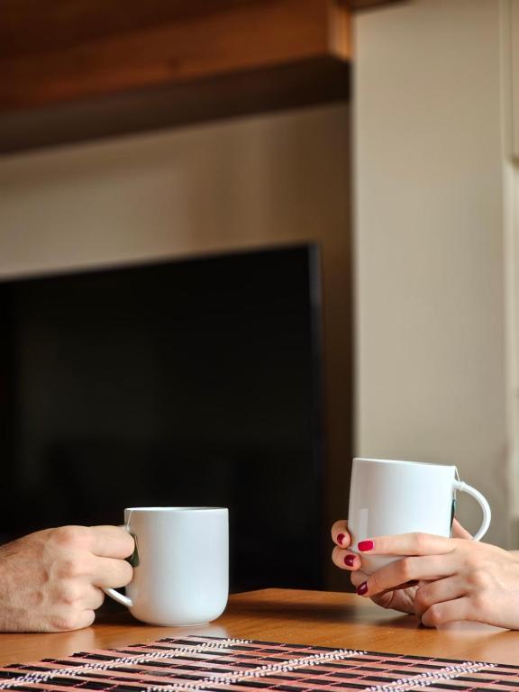 Duplex Apartman Vanja - 3