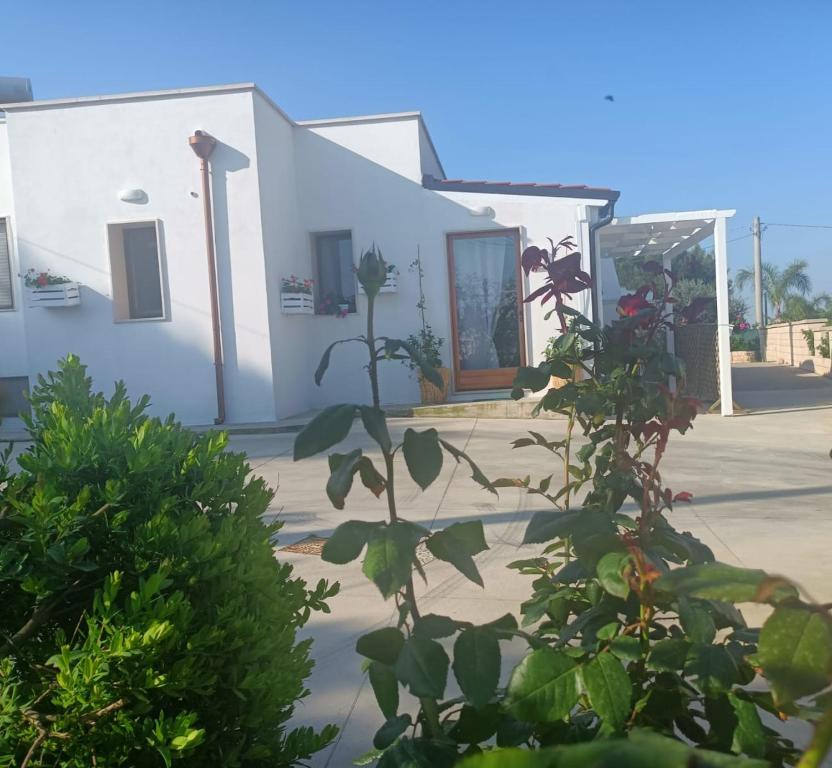 Dimora Matilde - 5