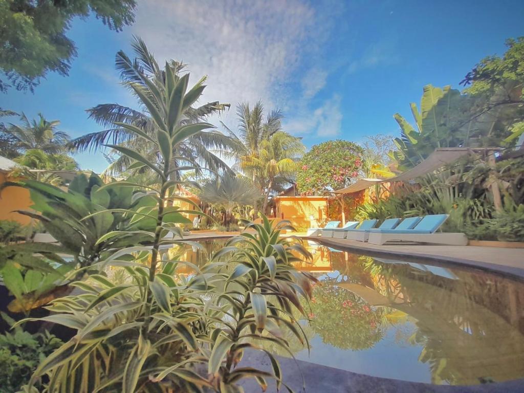 Surrounding environment