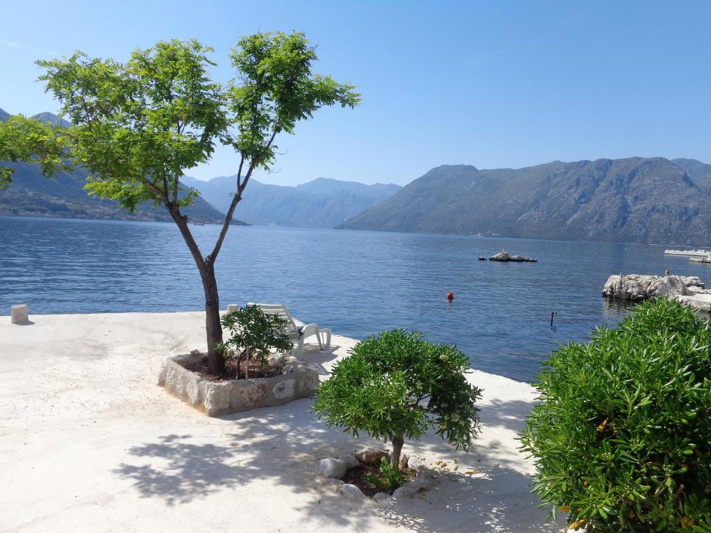 Apartments Ponta — Hotel in Kotor
