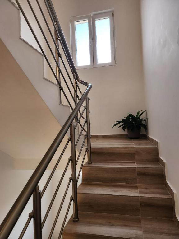 Apartments Wild Beauty - Krimovica photo