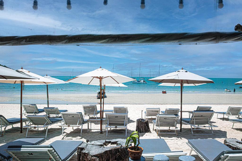 Bay Beach Resort photo