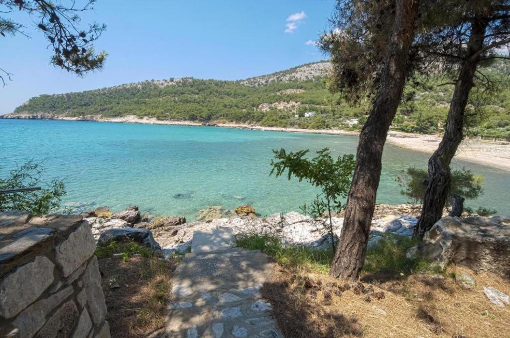 Petra Mare Apartments — Hotel in Thassos