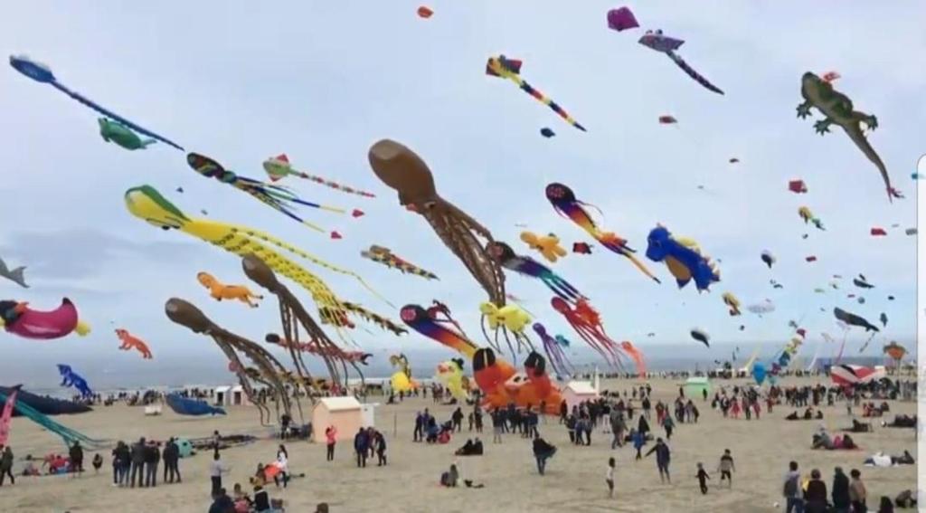 T2 Berck PLAGE, parking privé, - 4