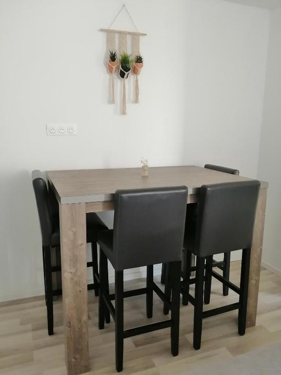 Jungle Zen garden area