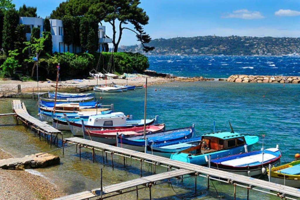 Juan les Pins 2 pièces 50m2 - 1