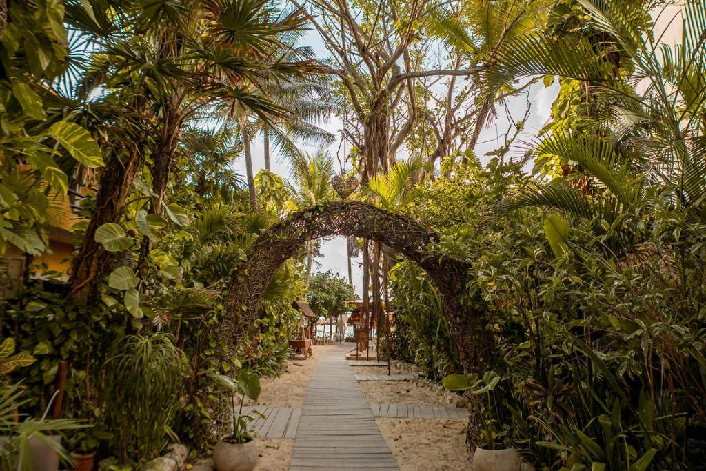 Hotel Casa Colibri - 3