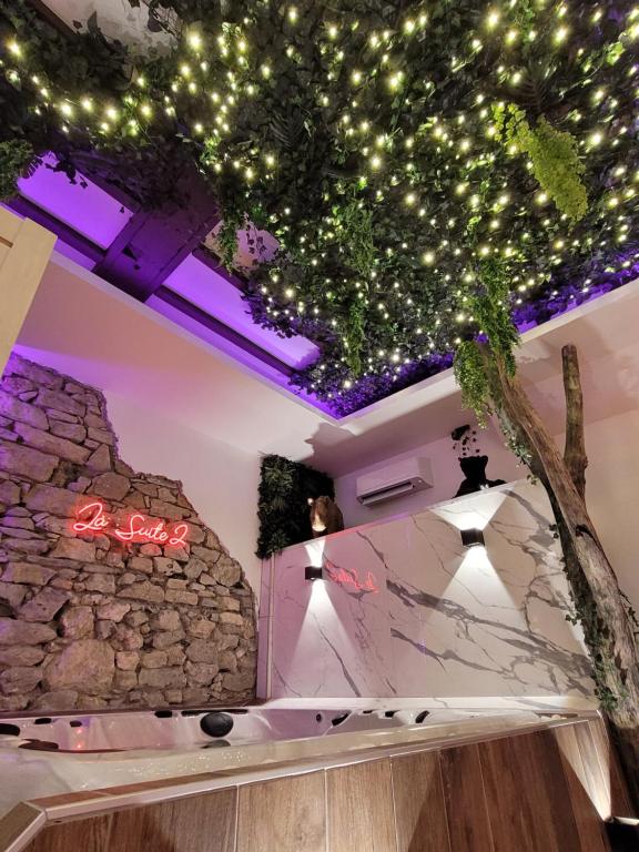 Grenoble LA SUITE 2 spa jaccuzzi et sauna privatif - 4