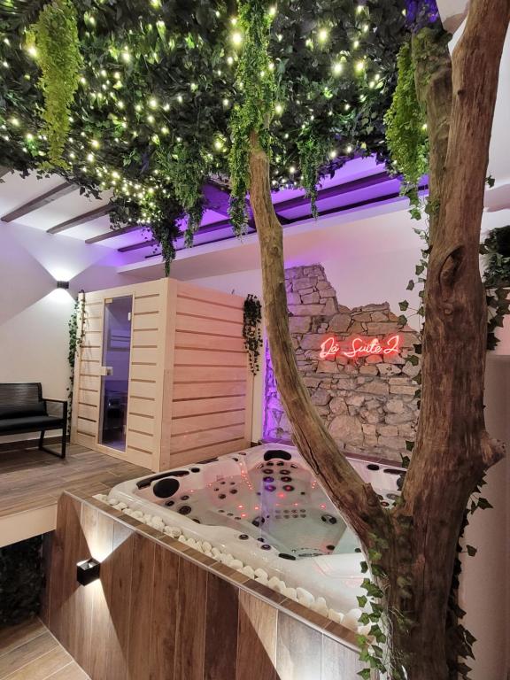 Grenoble LA SUITE 2 spa jaccuzzi et sauna privatif - 3