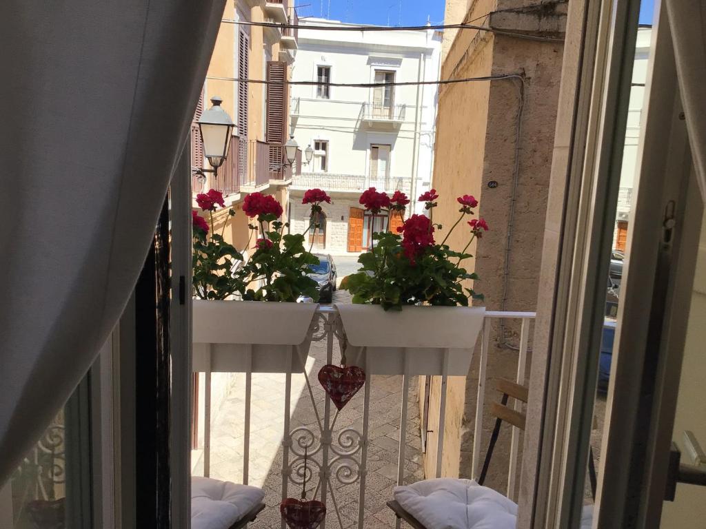 Palazzo Massari Bari - 3