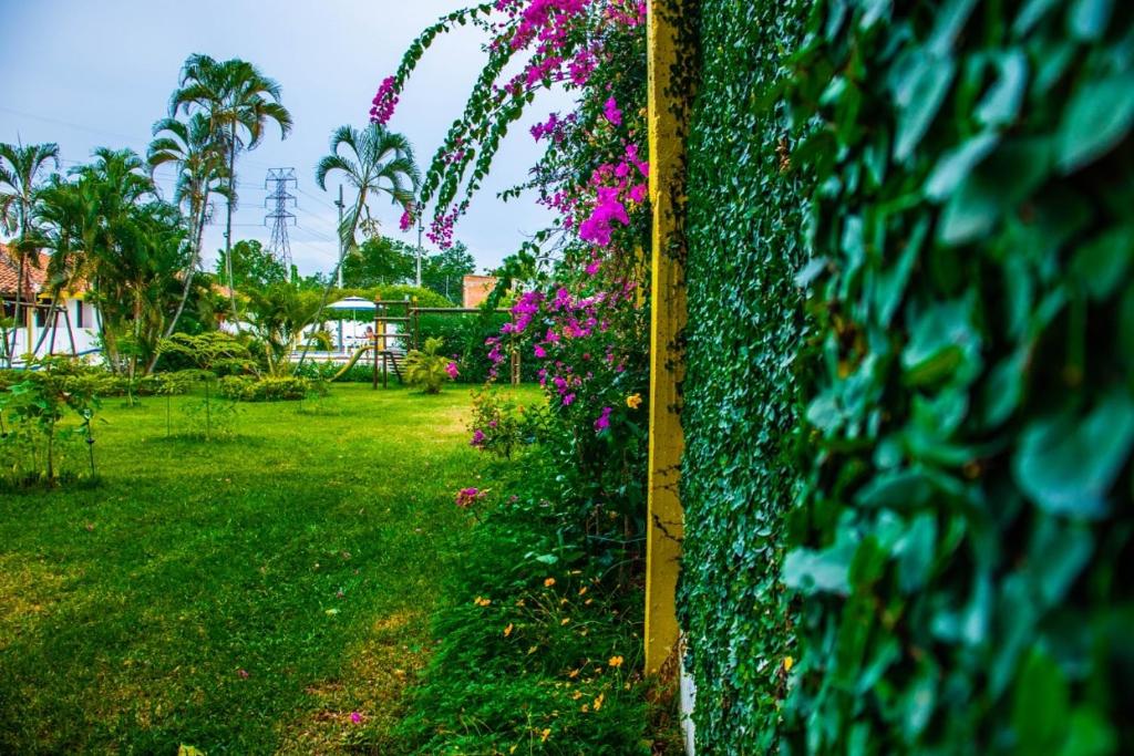 Hotel Villa Bosco photo