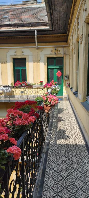 Congress Margit house photo
