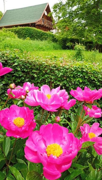 Apartman Relax in Nature photo