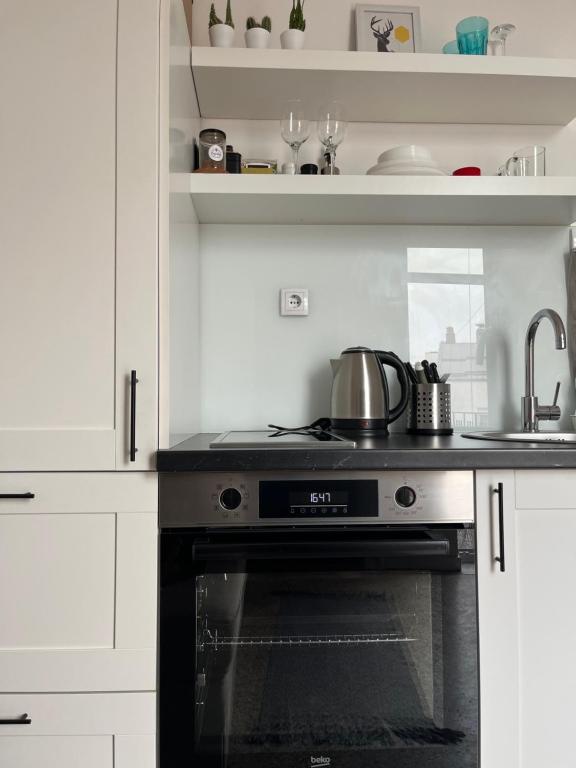 You will love it, in Vracar - 4