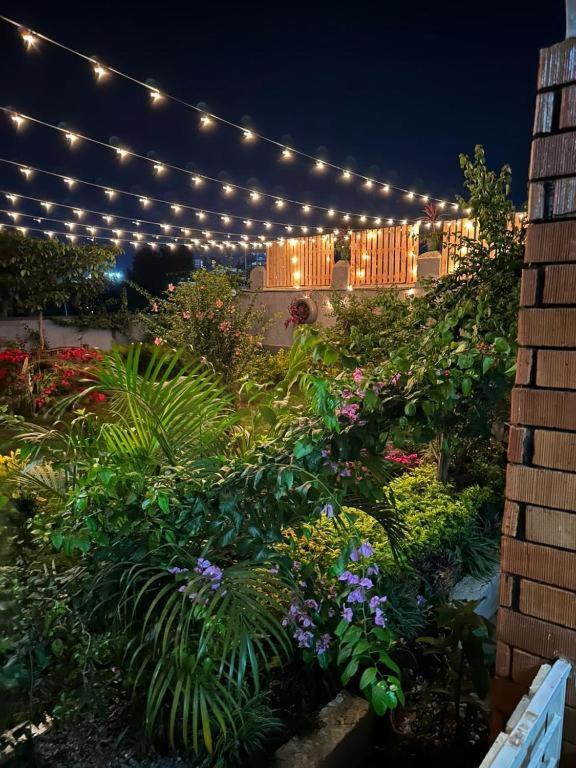 City Oasis by Siima _ Hidden Gem City family home — Hotel in Kampala