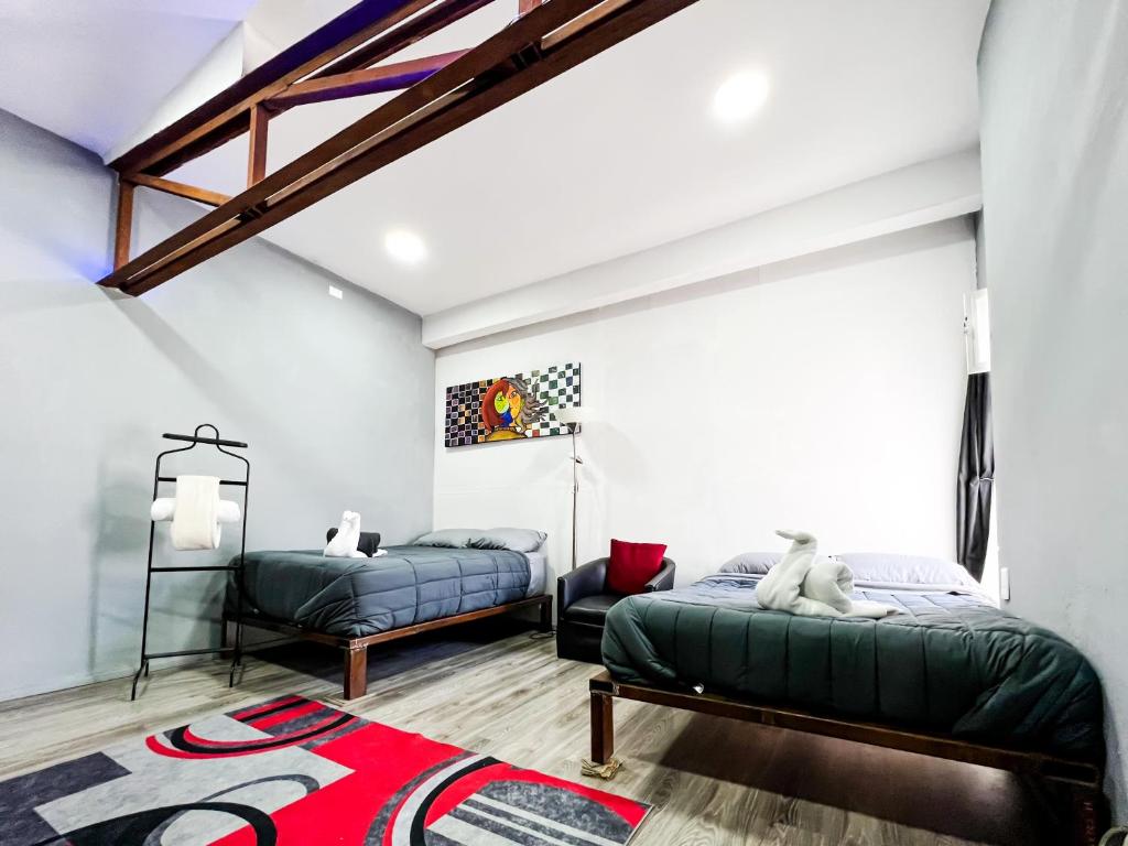 Lovely Loft 10 min from downtown - free parking, San Luis Potosí
