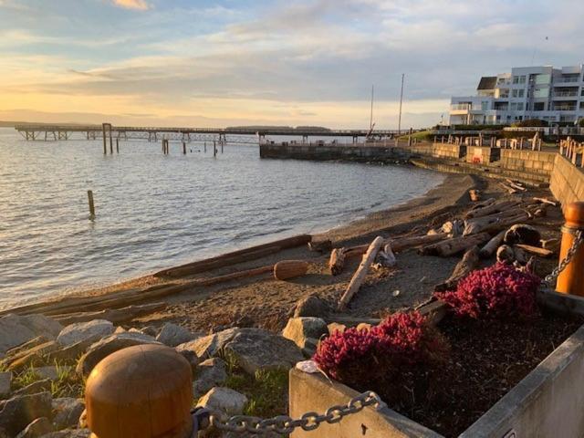Sidney Waterfront Inn photo