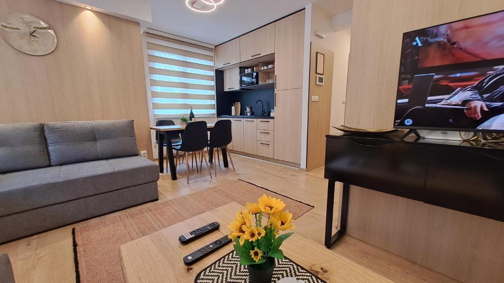 Vila Jahor Apartmani JET SET Lux - 2
