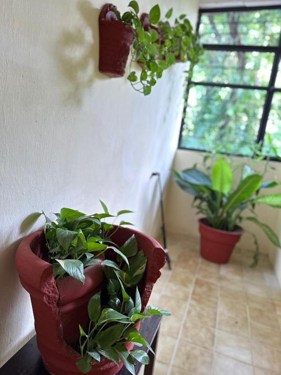 Casa Hadassa La Canada photo