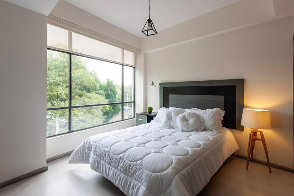Central and cozy CDMX 1BR - 1