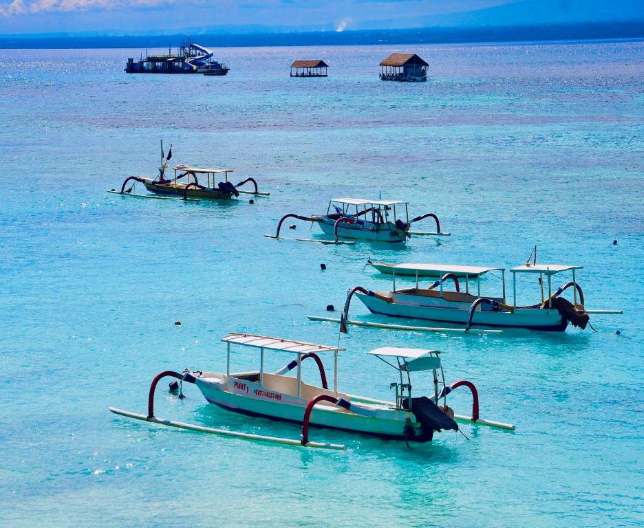 Surrounding environment