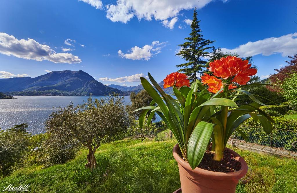 Casa Clivia - 4