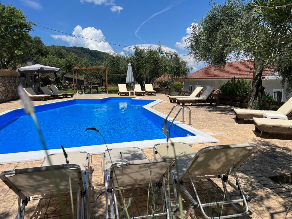 Olive Grove Poolside Apartments photo